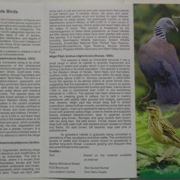 Vulnerable Birds (Set of 3) (BR)