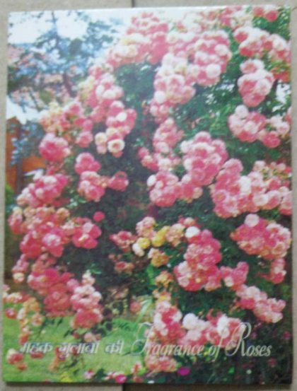 Fragrance of Roses Presentation Pack
