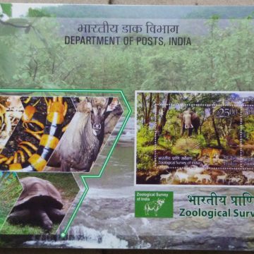 Zoological Survey of India Presentation Pack