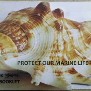 3rd India-Africa Forum Summit "Protect Marine Life" Presentation Pack