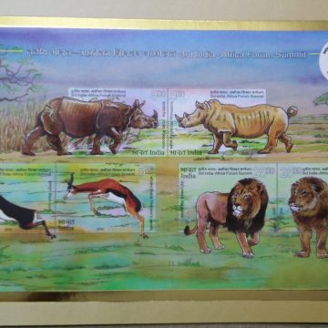 3rd India -Africa Forum Summit Presentation Pack