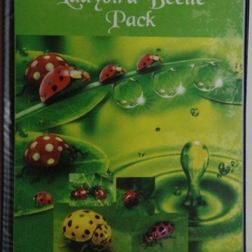 Lady bird Beetle Pack Presentation Pack