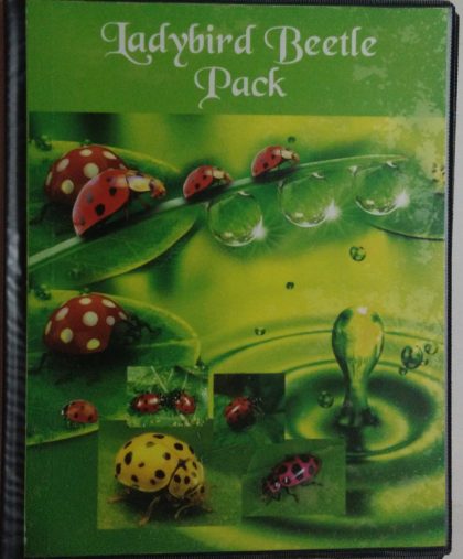 Lady bird Beetle Pack Presentation Pack