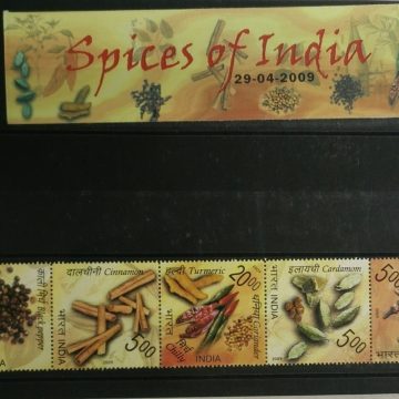 Spices of India Presentation Pack