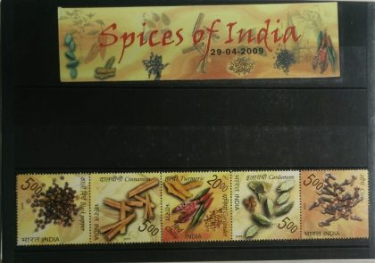 Spices of India Presentation Pack