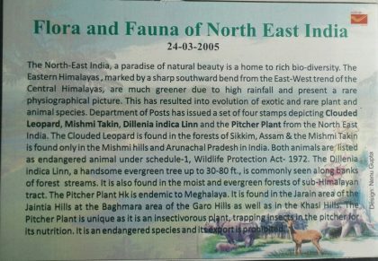 Flora and fauna of North East India Presentation Pack - Image 2