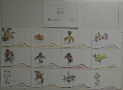 Orchids Maxi Cards