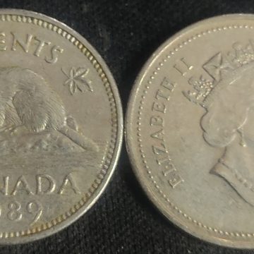 5 Cents Canada 1989 Elizabeth II D.G Regina