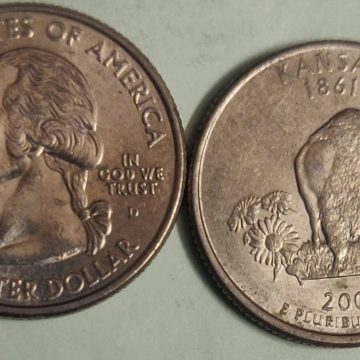 United States Quarter Dollar Kansas State 1 Coin (# 34/50) Used