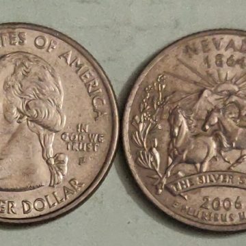 United States Quarter Dollar Nevada State 1 Coin (# 36/50) Used