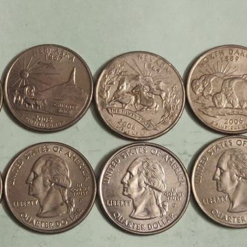 United States Quarter Dollar Montana State 1 Coin (# 41/50) Used
