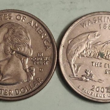 United States Quarter Dollar Idaho State 1 Coin (# 43/50) Used