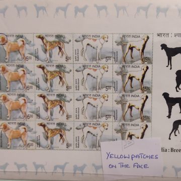 Breeds of Dogs (SL) Yelllow Patches on the face (Error stamps)