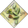 Spices of India cardamom_Cut Setenant