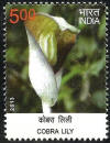 Wild Flowers of India Cobra Lily_Cut Setenant