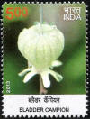 Wild Flowers of India Bladder Cavpion_Cut Setenant