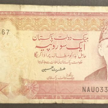 Pakistan 100 Rupees (Used)