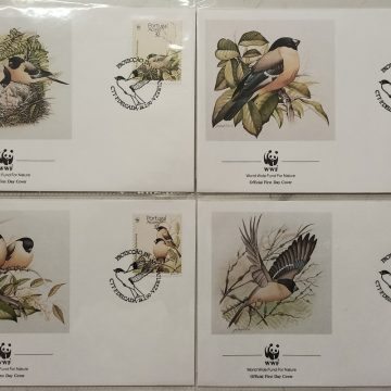 World Wide Fund For Nature Portugal Azores Bull Finch 1990 Set of 4 (Foreign FDC)