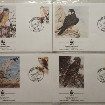 World Wide Fund For Nature Malta Lesser Kestrel 1991 Set of 4 (Foreign FDC)