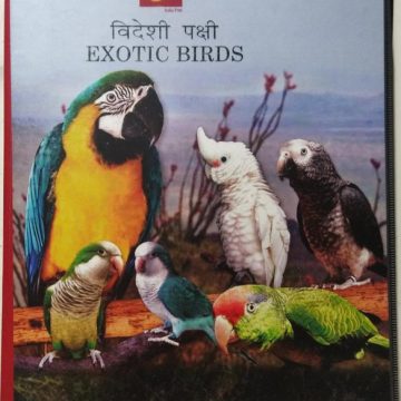 Exotic Birds Presentation Pack