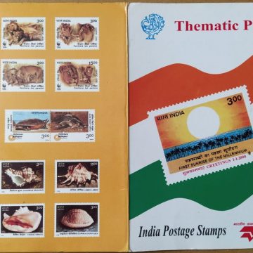 Thematic Pack Presentation Pack