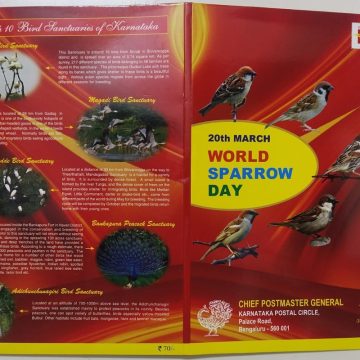 20th word saprrow day Presentation Pack
