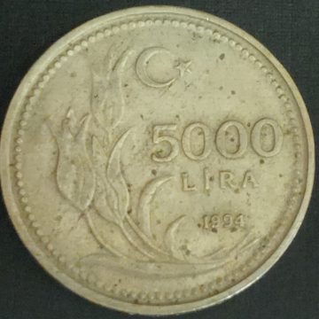 TURKEY 5000 TURK LIRASI 1994(used)