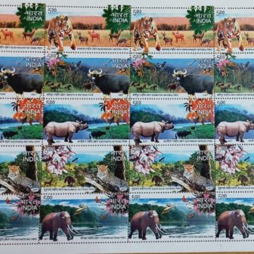 National parks of India (Indian Setenants FULLSHEET )