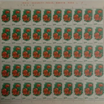 Definitive 6th Series Oranges 3.25p (Stamp Full Sheet) - 100 Stamps
