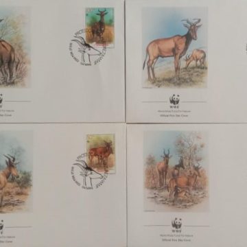 World Wide Fund For Nature Proteccaodanatureza 1991 Set of 4 (Foreign FDC)