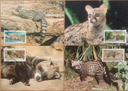 World Wide Fund For Nature  African Civet Set of 4 (Maxim Card)