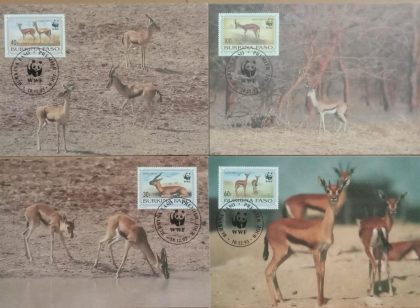 World Wide Fund For Nature Red -Fronted Gazelle  Set of 4 (Maxim Card)