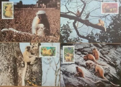 World Wide Fund For Nature Giant Armadillo  Set of 4 (Maxim Card)
