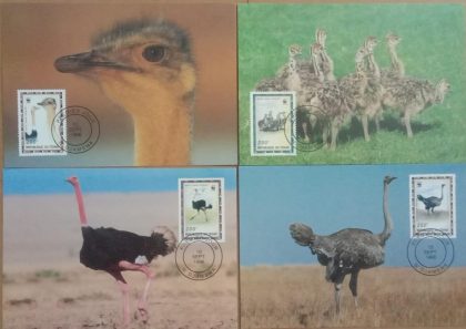 World Wide Fund For Nature  Ostrich Set of 4 (Maxim Card)