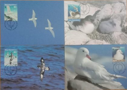 World Wide Fund For Nature Southern Fulmar  Set of 4 (Maxim Card)