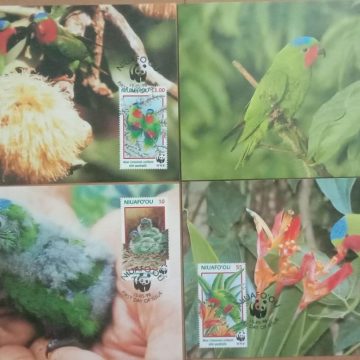 World Wide Fund For Nature  Blue -Crowned Lorikeet Set of 4 (Maxim Card)