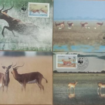 World Wide Fund For Nature Black Lechwe  Set of 4 (Maxim Card)