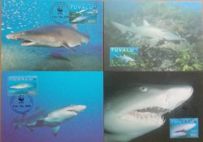 World Wide Fund For Nature  Sand Tiger Shark Set of 4 (Maxim Card)