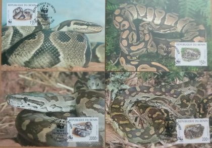 World Wide Fund For Nature African Rock Python  Set of 4 (Maxim Card)