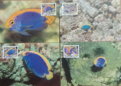 World Wide Fund For Nature Resplendent Angelfish   Set of 4 (Maxim Card)