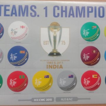World Cup Cricket 14 TEAMS. 1CHAMPION self Adhesive Souvenir sheet