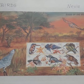 Thematic Birds Stamps of NEVIS 1 Minature sheet