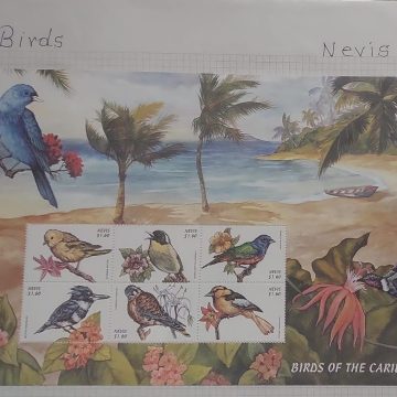 Thematic Birds Stamps of NEVIS 1 Minature sheet