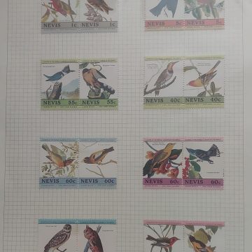 Thematic Birds Stamps of NEVIS 16 Stamps Mint