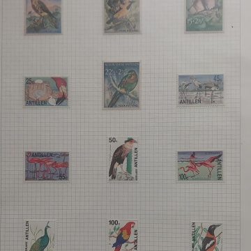 Thematic Birds Stamps of NETHERLAND ANTILLES  12 Stamps Mint