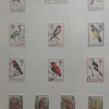 Thematic Birds Stamps of SWAZILAND 13 Stamps 8 Used /5  Mint