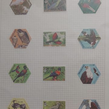 Thematic Birds Stamps of SWAZILAND 12 Stamps Mint