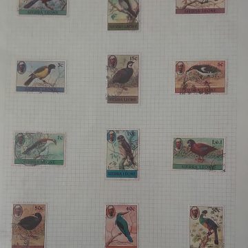 Thematic Birds Stamps of SIERRALEONE 12 Stamps Used