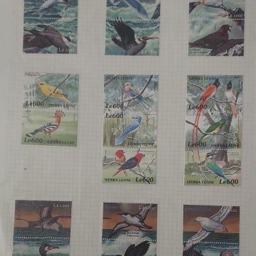 Thematic Birds Stamps of SIERRALEONE 20 Stamps Mint