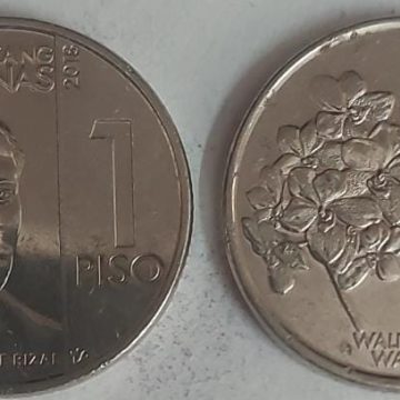 PHILIPPINES  1 PISO 2018 Coin(used)